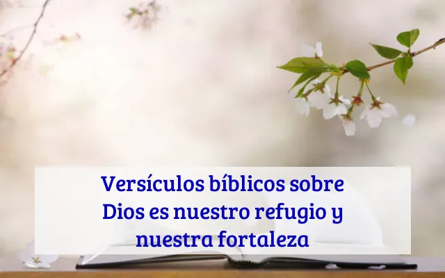Versículos bíblicos sobre Dios es nuestro refugio y nuestra fortaleza