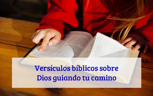 Versículos bíblicos sobre Dios guiando tu camino