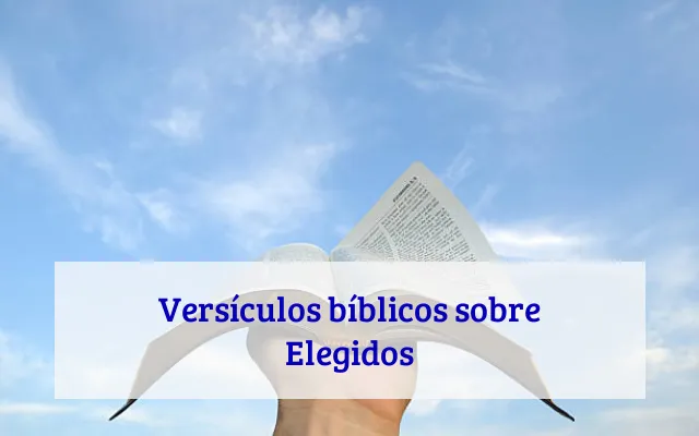 Versículos bíblicos sobre Elegidos