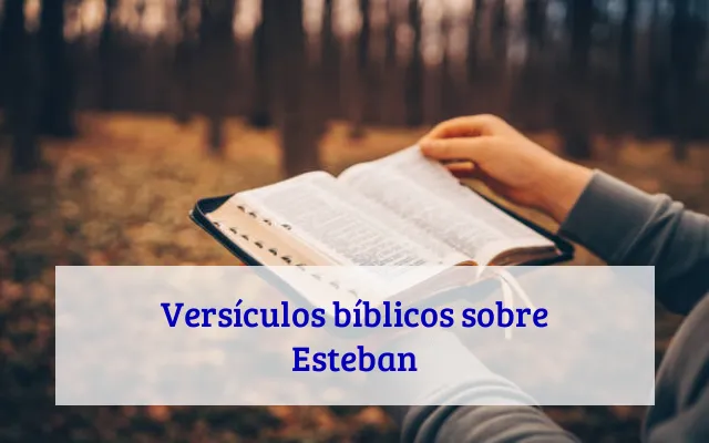 Versículos bíblicos sobre Esteban