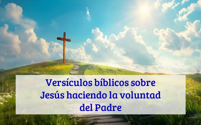 Versículos bíblicos sobre Jesús haciendo la voluntad del Padre