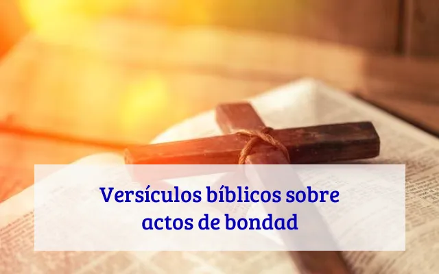 Versículos bíblicos sobre actos de bondad