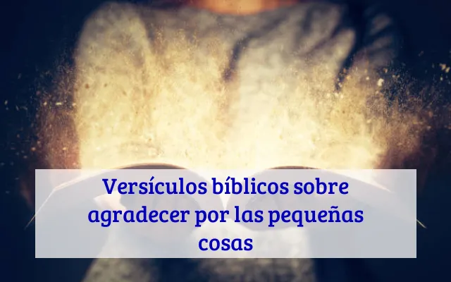 Versículos bíblicos sobre agradecer por las pequeñas cosas