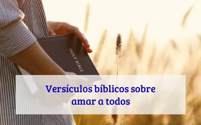 Versículos bíblicos sobre amar a todos