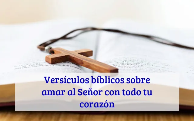 Versículos bíblicos sobre amar al Señor con todo tu corazón