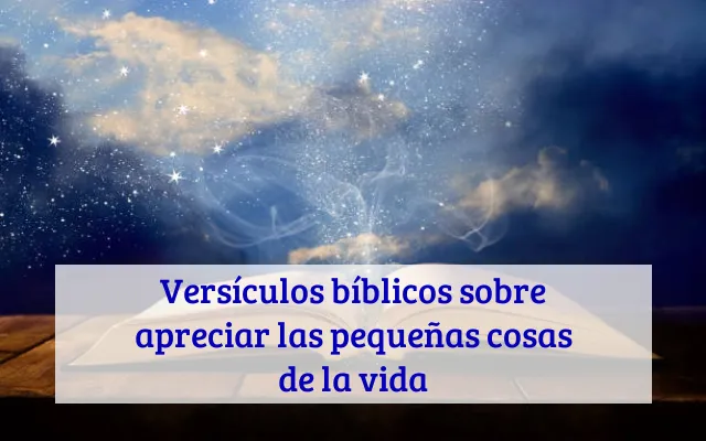Versículos bíblicos sobre apreciar las pequeñas cosas de la vida
