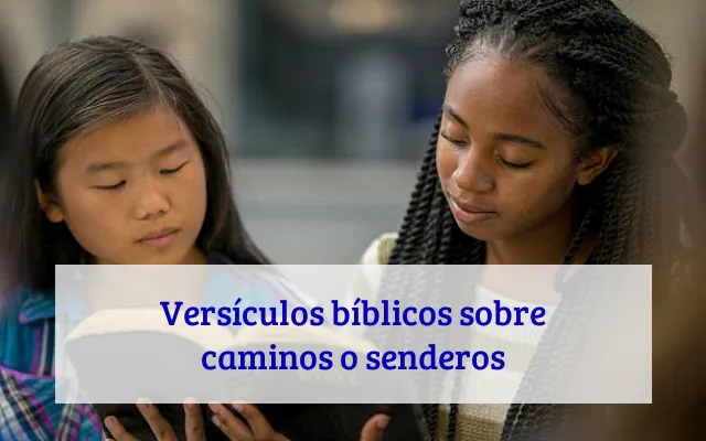 Versículos bíblicos sobre caminos o senderos