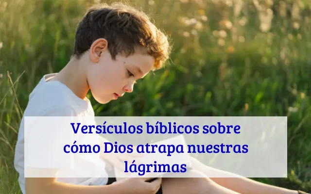 Versículos bíblicos sobre cómo Dios atrapa nuestras lágrimas