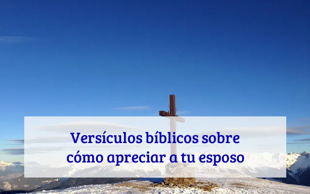 Versículos bíblicos sobre cómo apreciar a tu esposo