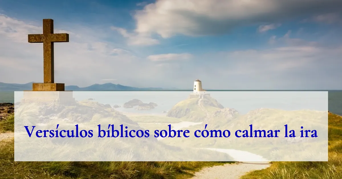 Versículos bíblicos sobre cómo calmar la ira