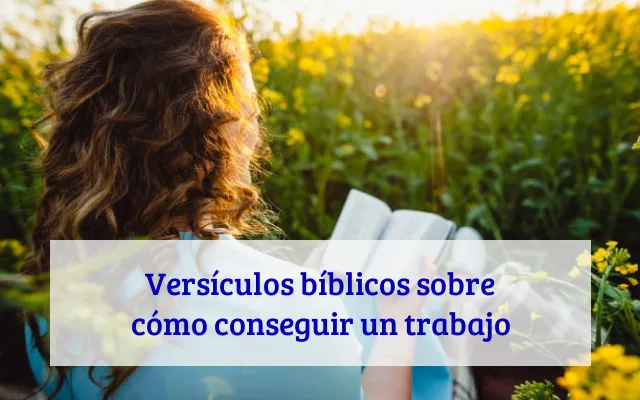 Versículos bíblicos sobre cómo conseguir un trabajo