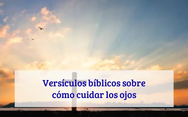 Versículos bíblicos sobre cómo cuidar los ojos