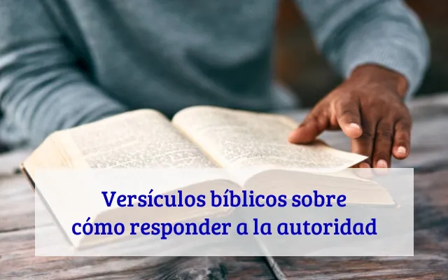 Versículos bíblicos sobre cómo responder a la autoridad