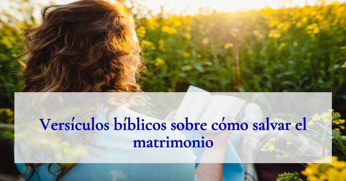 Versículos bíblicos sobre cómo salvar el matrimonio