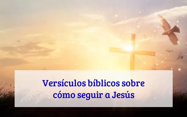 Versículos bíblicos sobre cómo seguir a Jesús