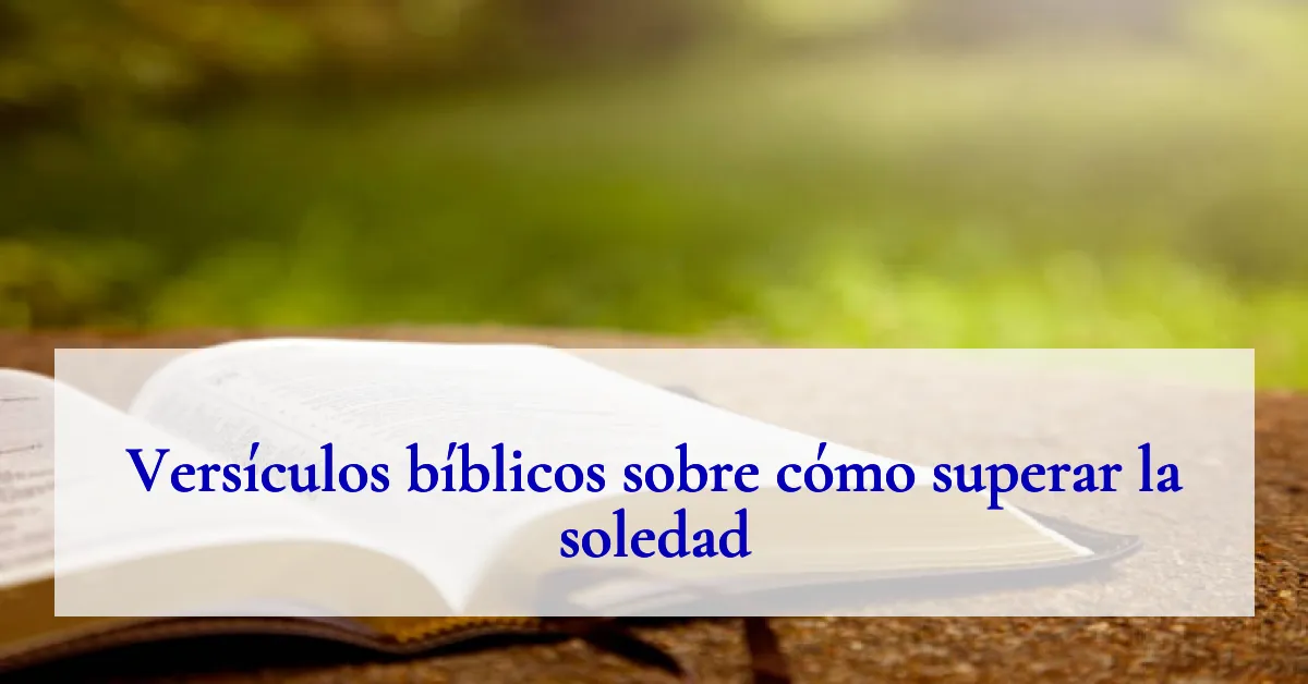 Versículos bíblicos sobre cómo superar la soledad