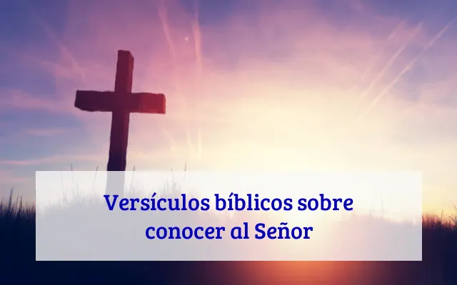 Versículos bíblicos sobre conocer al Señor