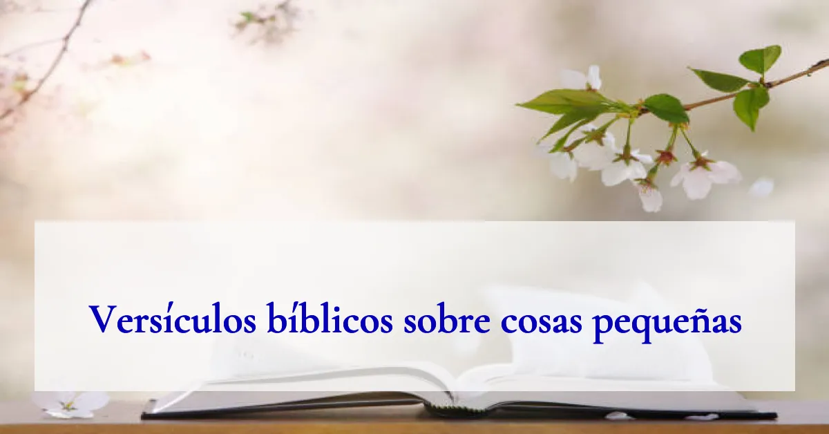 Versículos bíblicos sobre cosas pequeñas