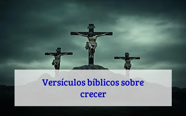Versículos bíblicos sobre crecer