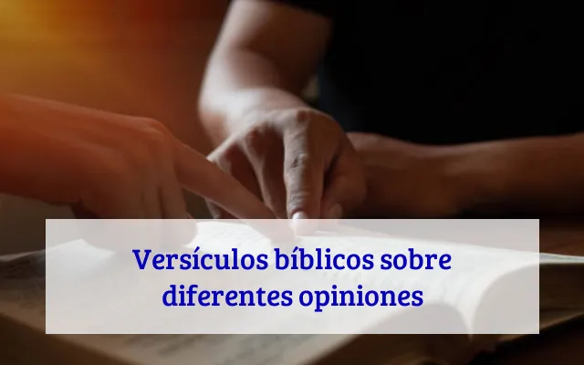 Versículos bíblicos sobre diferentes opiniones