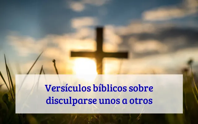 Versículos bíblicos sobre disculparse unos a otros