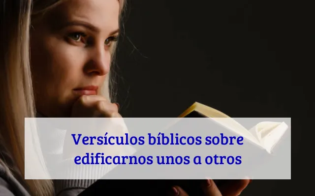 Versículos bíblicos sobre edificarnos unos a otros