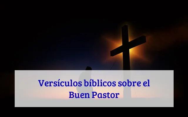 Versículos bíblicos sobre el Buen Pastor