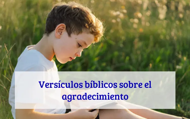 Versículos bíblicos sobre el agradecimiento