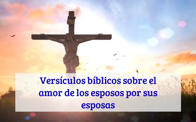 Versículos bíblicos sobre el amor de los esposos por sus esposas