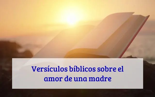 Versículos bíblicos sobre el amor de una madre