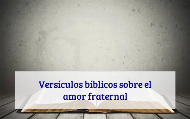 Versículos bíblicos sobre el amor fraternal