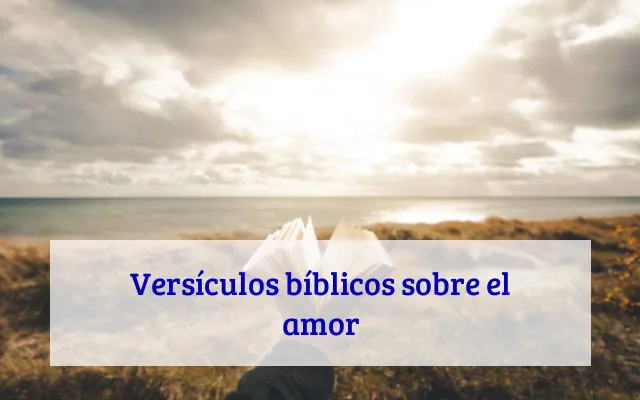 Versículos bíblicos sobre el amor