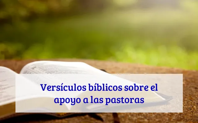 Versículos bíblicos sobre el apoyo a las pastoras