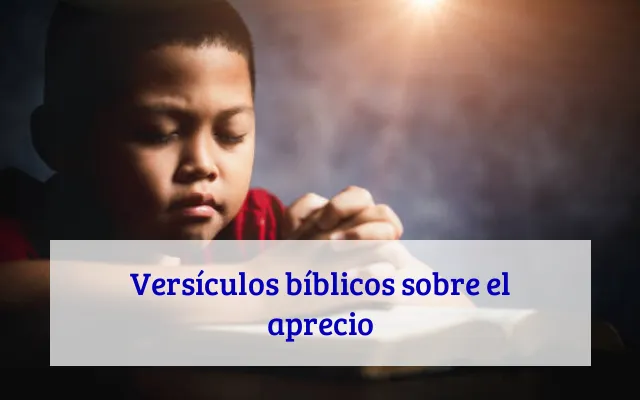 Versículos bíblicos sobre el aprecio