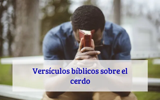 Versículos bíblicos sobre el cerdo