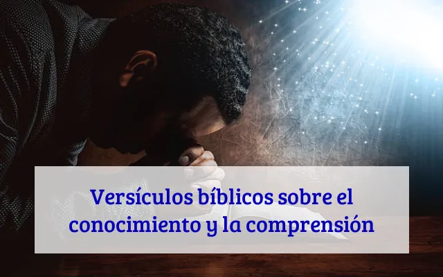 Versículos bíblicos sobre el conocimiento y la comprensión