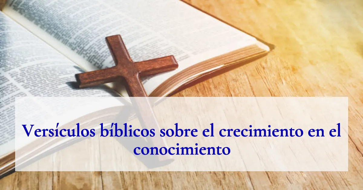 Versículos bíblicos sobre el crecimiento en el conocimiento