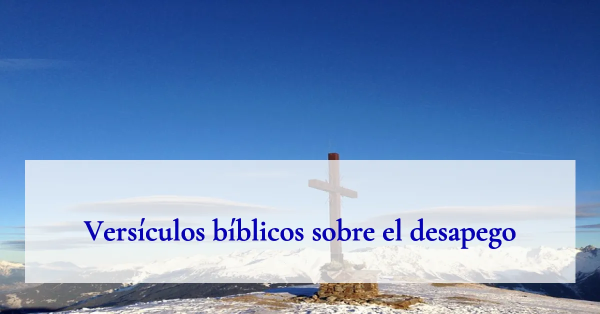 Versículos bíblicos sobre el desapego
