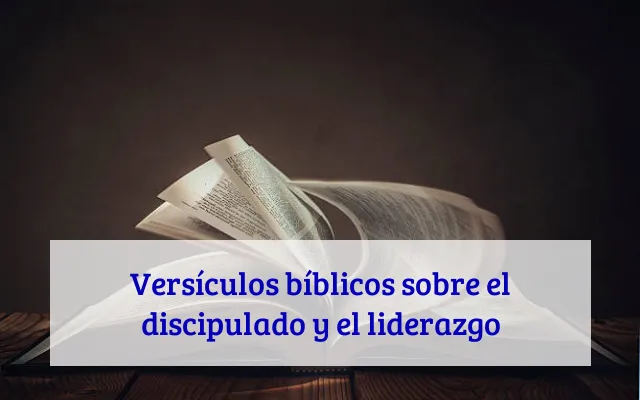 Versículos bíblicos sobre el discipulado y el liderazgo