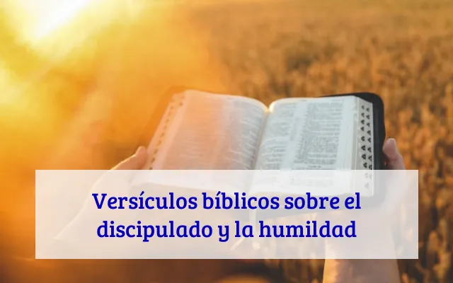 Versículos bíblicos sobre el discipulado y la humildad