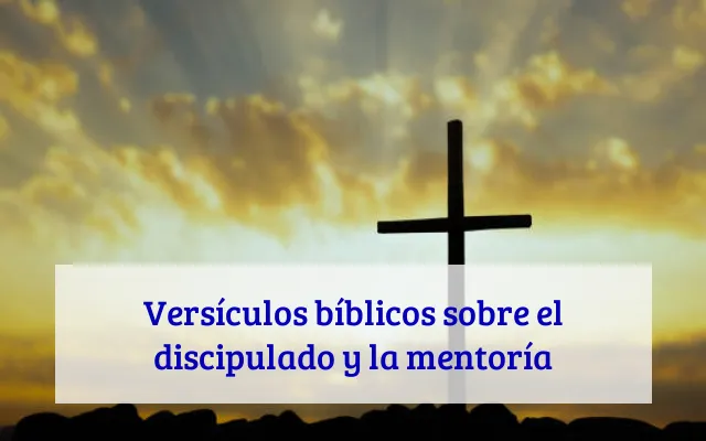 Versículos bíblicos sobre el discipulado y la mentoría