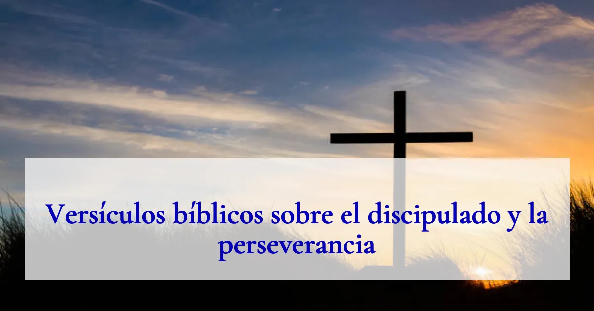 Versículos bíblicos sobre el discipulado y la perseverancia