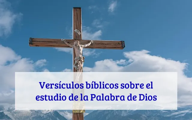Versículos bíblicos sobre el estudio de la Palabra de Dios