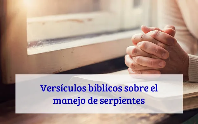 Versículos bíblicos sobre el manejo de serpientes