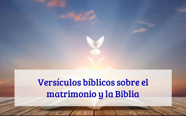 Versículos bíblicos sobre el matrimonio y la Biblia