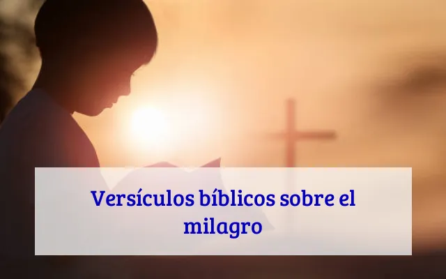 Versículos bíblicos sobre el milagro