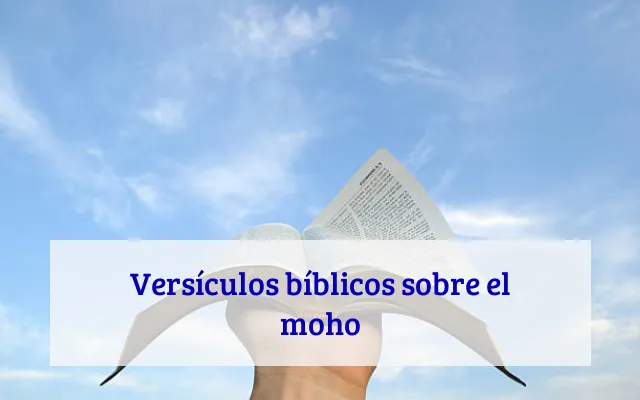 Versículos bíblicos sobre el moho