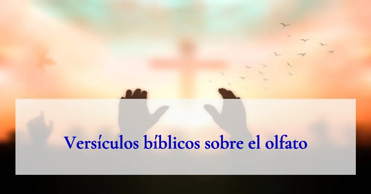 Versículos bíblicos sobre el olfato