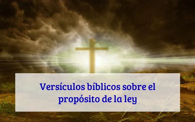 Versículos bíblicos sobre el propósito de la ley