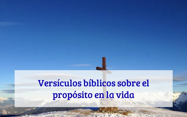 Versículos bíblicos sobre el propósito en la vida